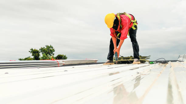 Best Solar Panel Roofing Installation  in Laurie, MO